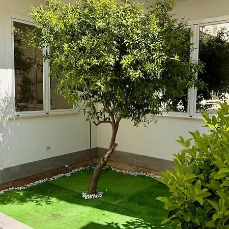 Appartement Lovely Mondello - *